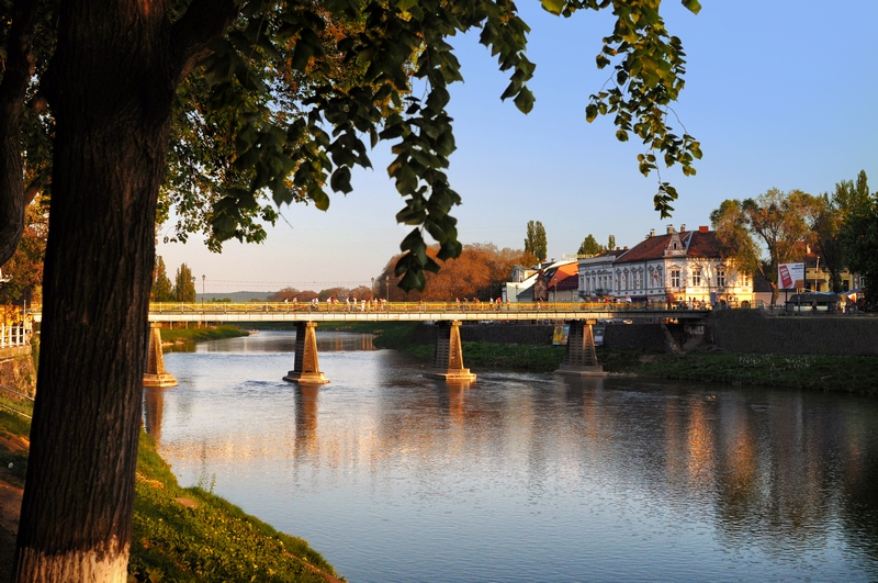 View on the main bridge across the river Uzh in Uzhhorod in warm sunset light. High green tree growing nearby, its branches hanging over the river
