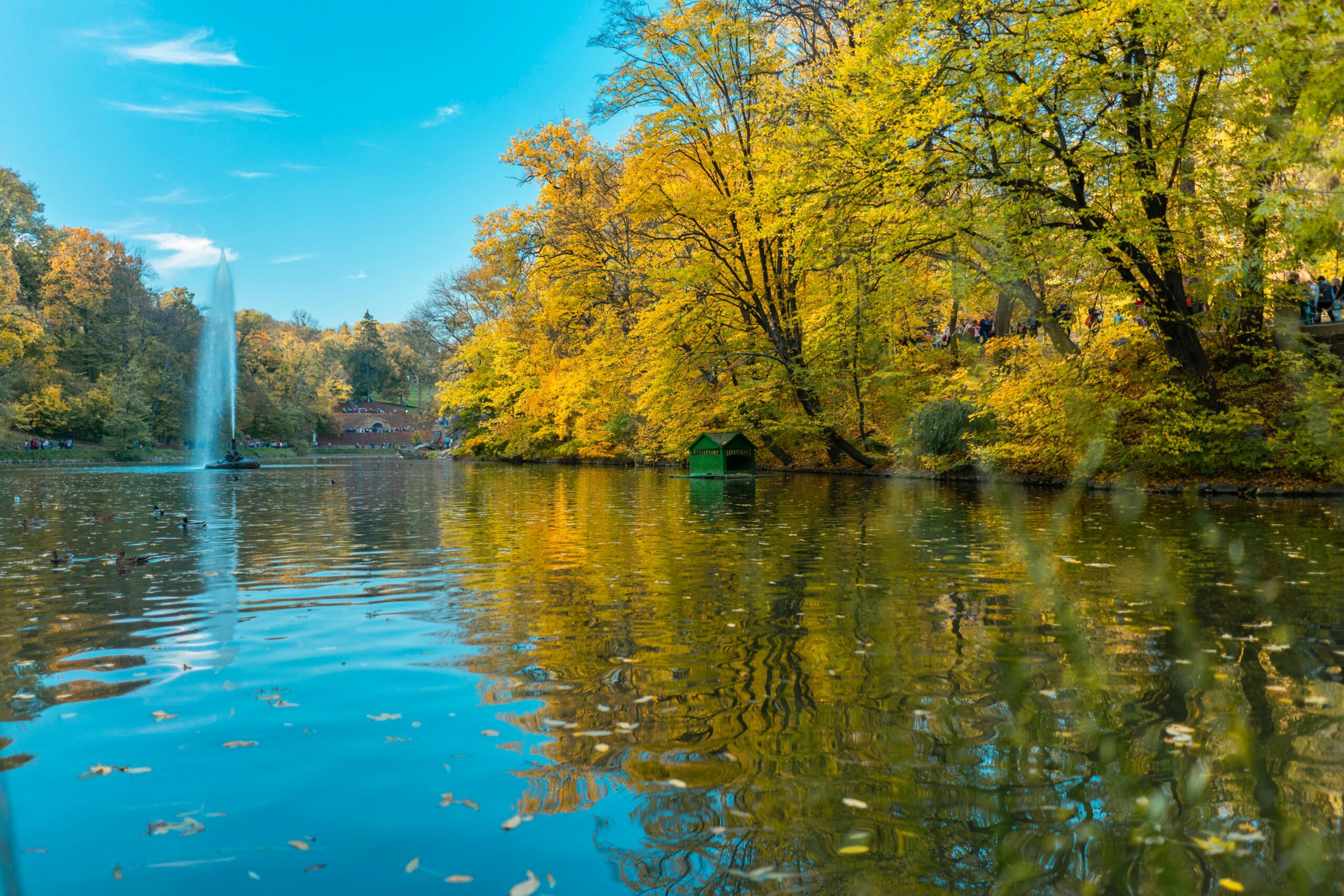 pexels-freestockpro-12932357