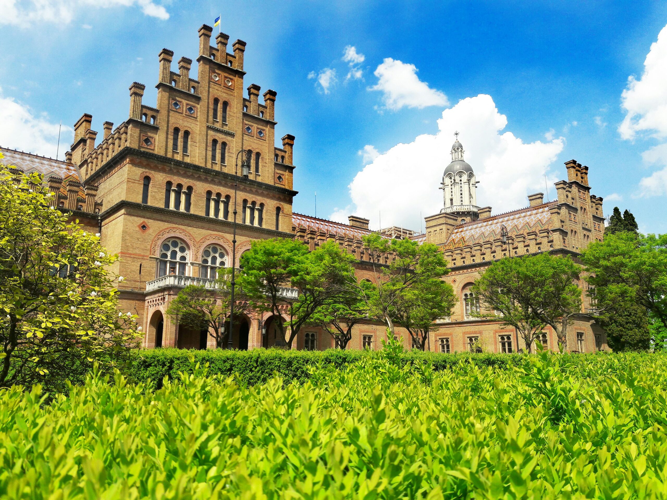 pexels-valeriia-harbuz-2161259-12961411 pexels-valeriia-harbuz-2161259-12961411