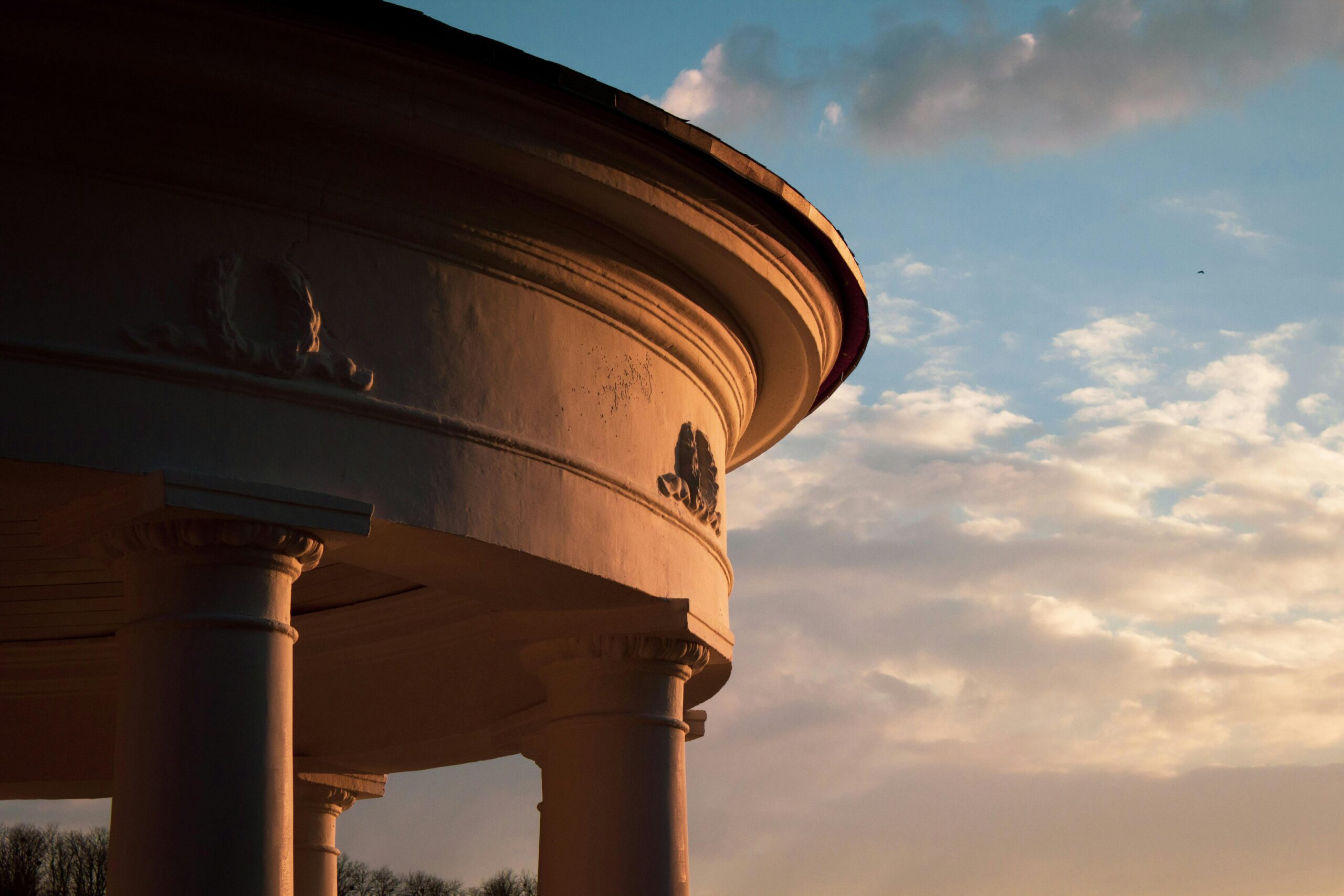 pexels-valeriia-slobodeniuk-340349257-14780199